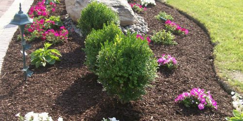 Landscaping Free Estimates