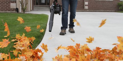 Leaf Removal, Leaf Removal service, Fall Clean Up, Spring Clean Up,