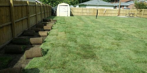 Sod Installation, Sod Installer, New Sod, Sod Company, Sod Contractor
