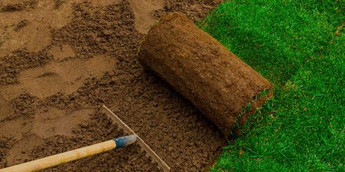 Sod Installation, Sod Installer, Sod Company, Sod Contractor