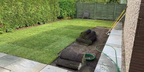 Sod Installation, Sod Installer, New Sod, Sod Company, Sod Contractor