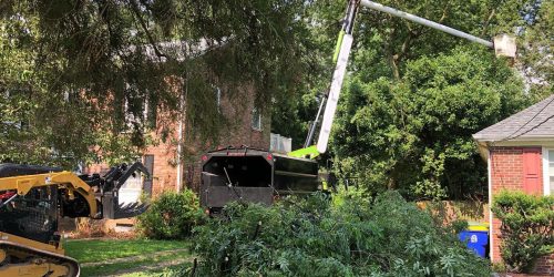 Tree Removal, Tree Cutting, Tree Service, Free Estimates, Tree Care