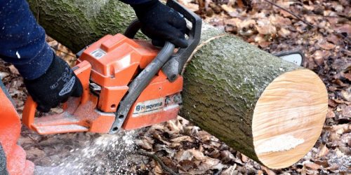 Tree Service, Tree Removal, Tree Care, Tree Trimming, Tree Cutting, Tree Company, Gutter Cleaning, Leaf Removal